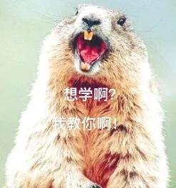 四川话用不了多久,四川话还有多长时间消失