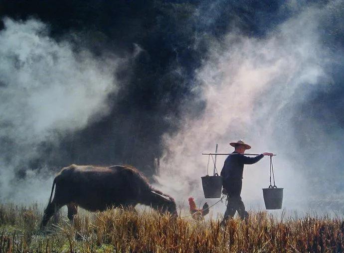 农业概况,中国农业基本现状