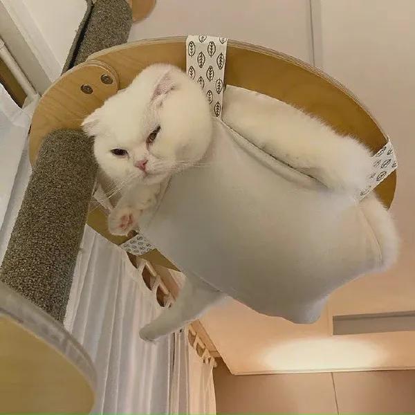 男人骚不骚，看袜子就知道