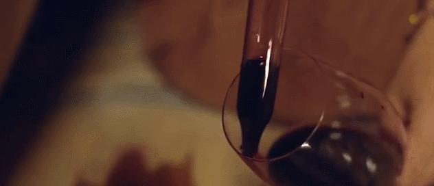 一瓶真正的自然酒的诞生丨Zorzal酒庄专访