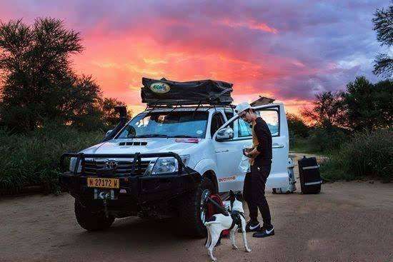 柴油机和汽油机的优缺点初中物理,柴油发动机耐用还是汽油机耐用