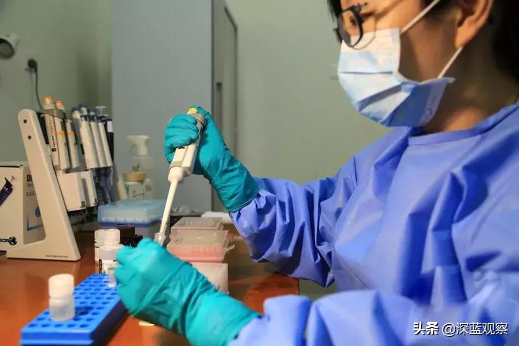 可以体验买买买的游戏,买买买的游戏