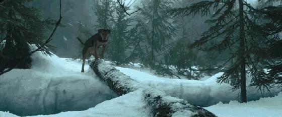 拯救不开心之类电影推荐,十部让人内心平静的电影