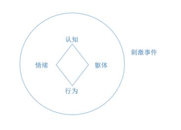 急性应激障碍护理常规ppt,应激反应教学活动