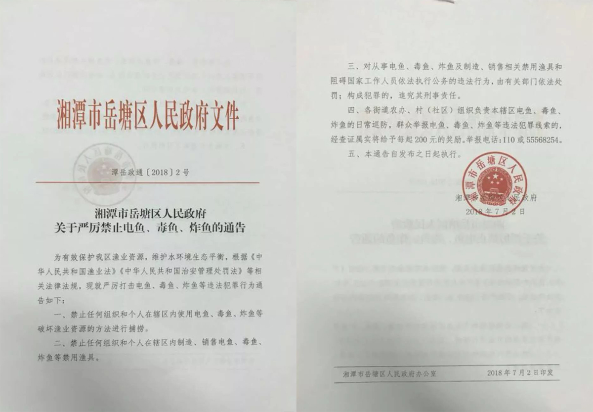 钓鱼电鱼怎么举报,钓鱼遇到电鱼报警怎么处理