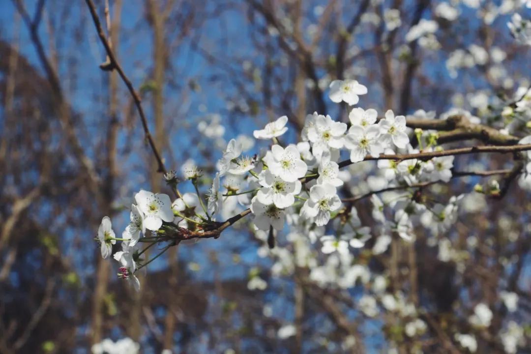 五一昆明周边游适合孩子玩的地方,昆明五一旅游景点攻略自由行