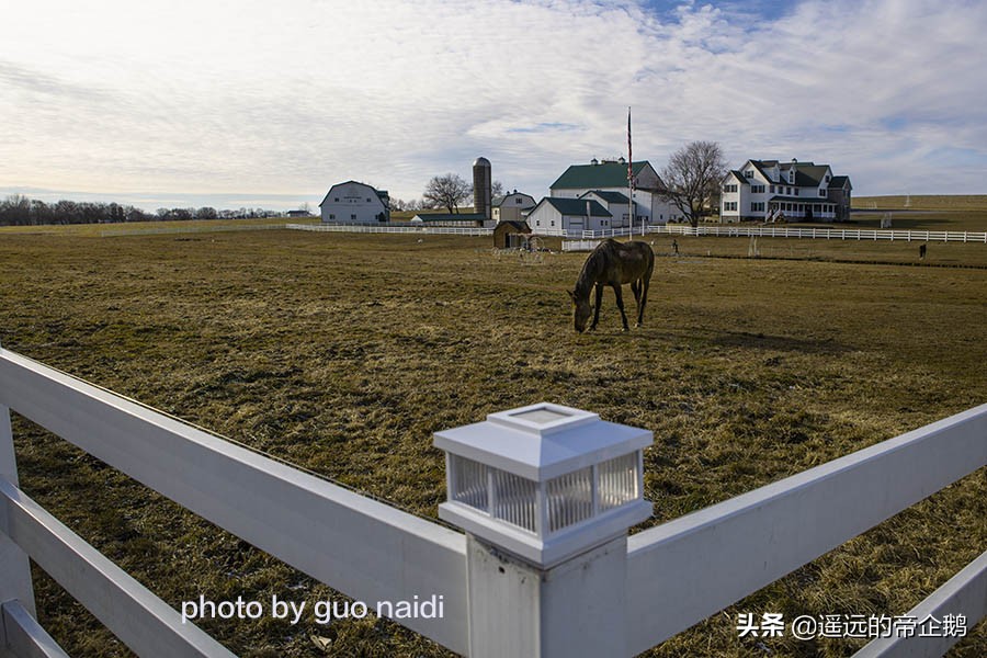 兰卡斯特宾夕法尼亚,兰卡斯特大学lancaster