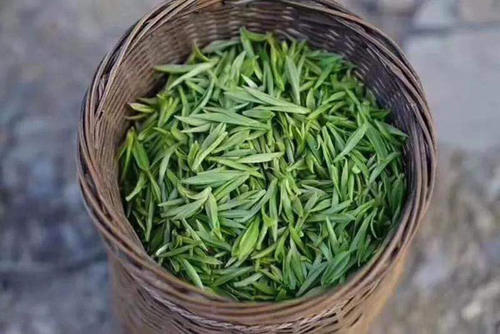 为什么都说安徽茶好,为什么安徽有名茶