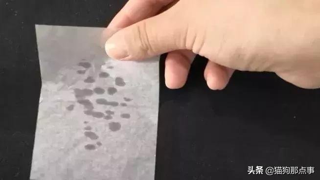 如何鉴别渴望六种鱼猫粮真假,宠率牌猫粮真实评价