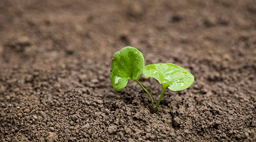真实演示拔牙,拔牙真实过程第一视角