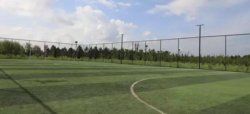 左中休闲好去处——达尔罕森林公园