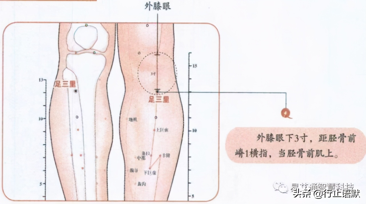 湿疹按啥穴,儿童手部湿疹艾灸取穴