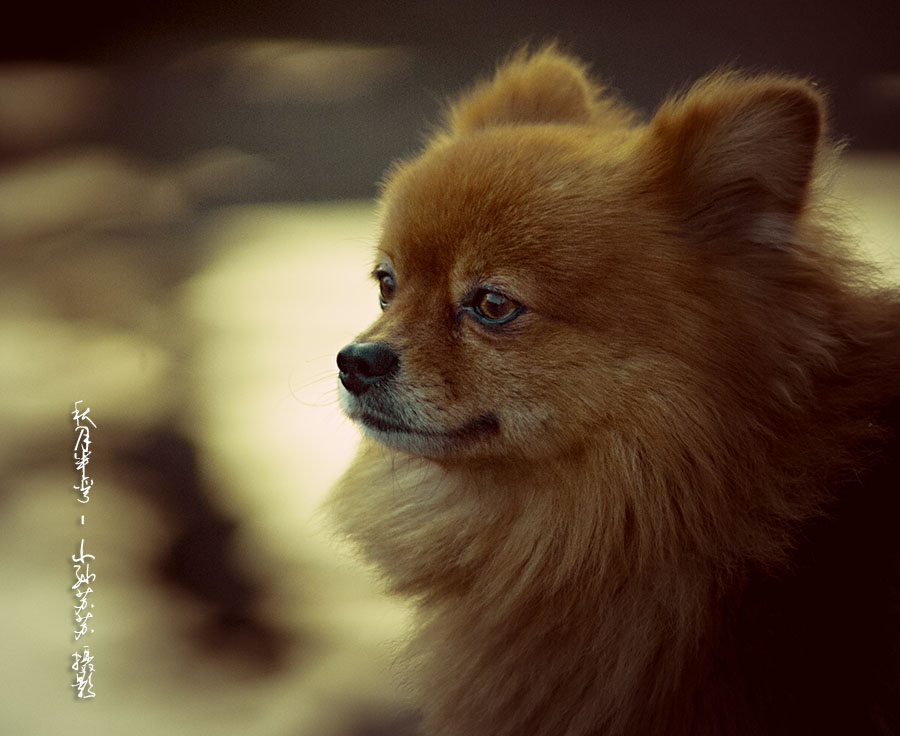 关于二手设备的问题,关于二手东西