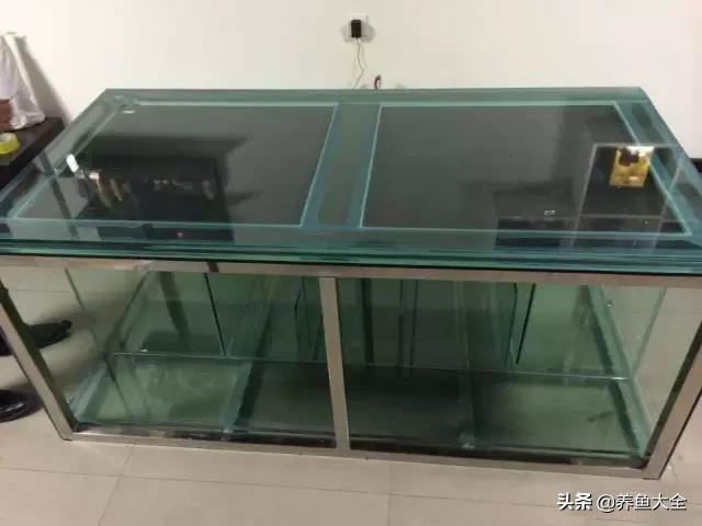 怎么样才可以做个美丽的鱼缸,给自己一个完美解释