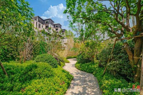 惊艳!湾里交通文旅大爆发,这个地方注定红