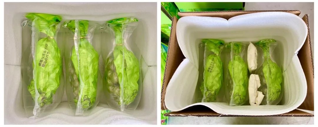 葡萄界的爱马仕晴王,葡萄界中的爱马仕跌落