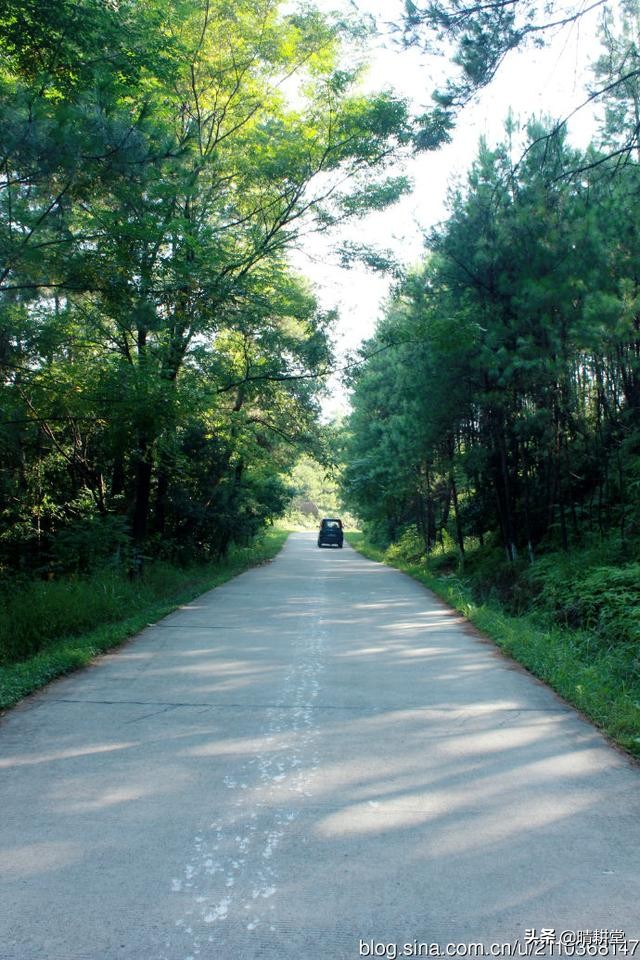 赣州峰山附近一日游自驾游景点,赣州峰山美景