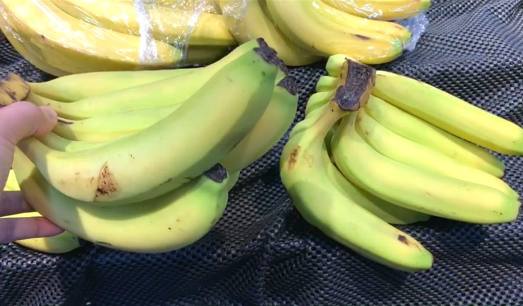 买香蕉买黄的还是买青的,买香蕉挑直的还是选有黑点的