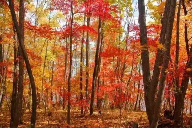 哈尔滨自驾三亚边走边玩最佳路线,哈尔滨到漠河自驾旅游攻略10天