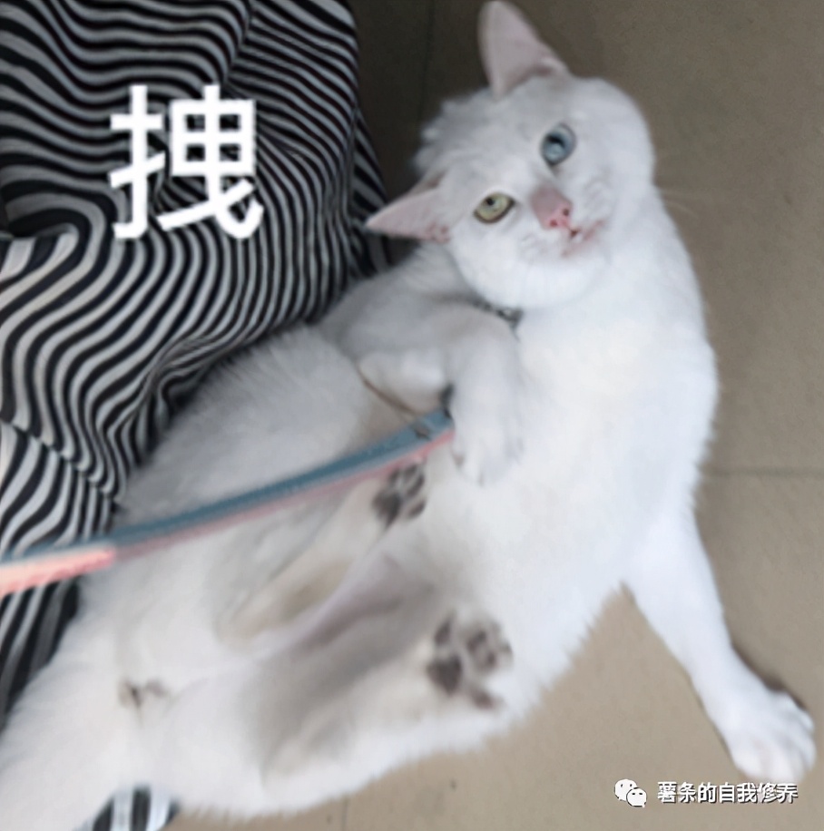 滴滴强化学习代码,如何提高滴滴代码的可读性