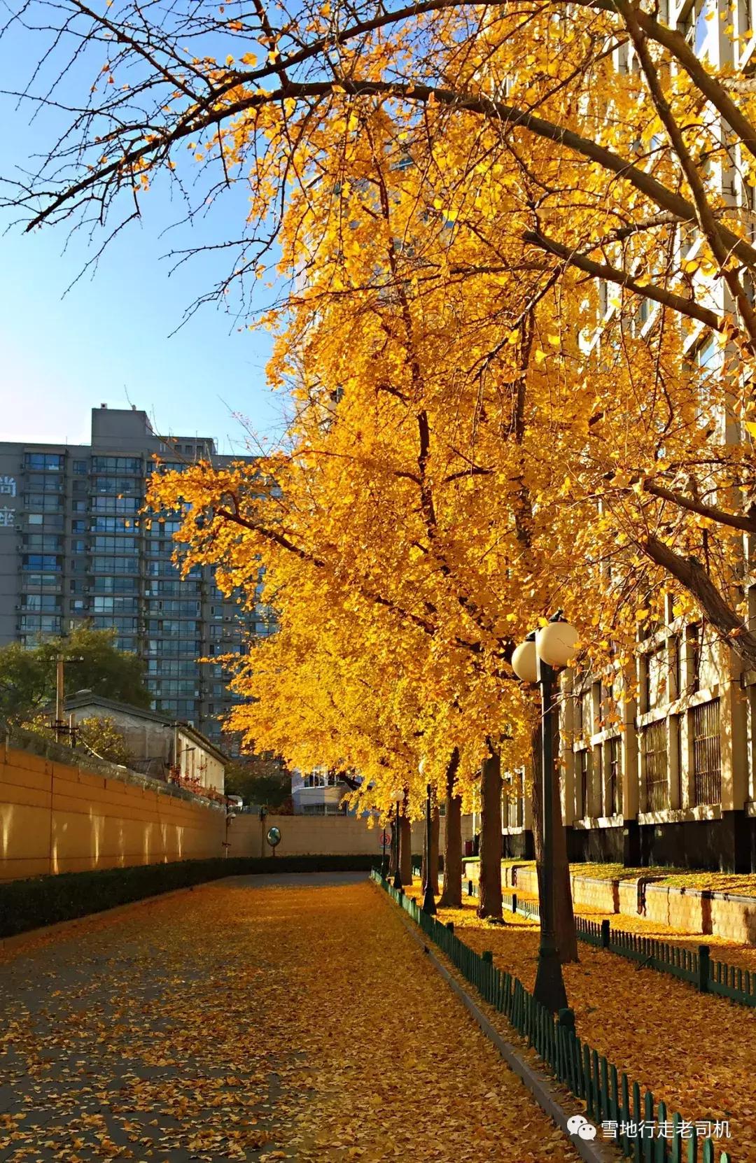 美物人间丨11月种草记之完美替代品,人生哪只有你?