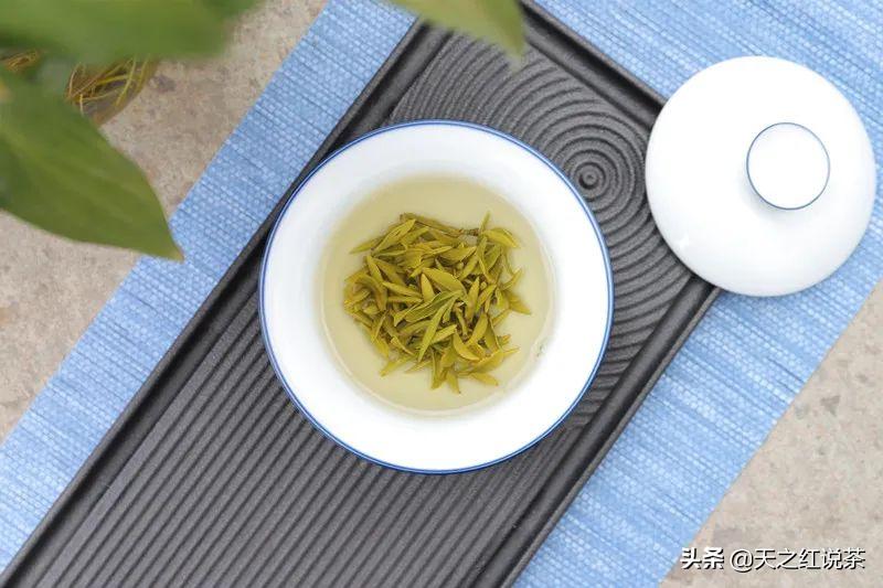 喝春茶的人生感悟,喝春茶的意境诗句