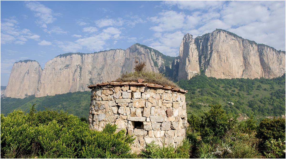云南普洱茶区六大茶区,普洱茶茶区详细分布图