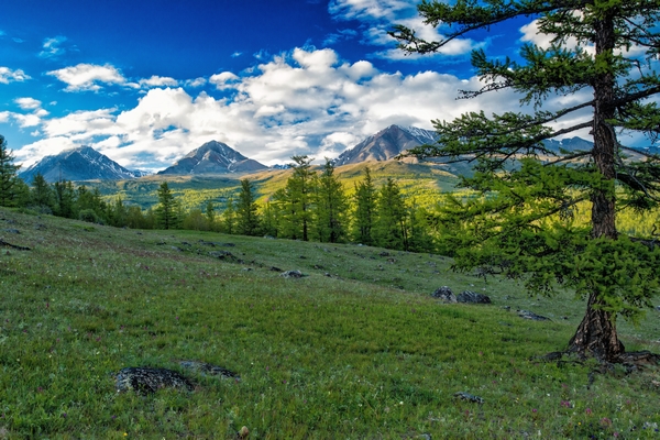 享受无聊的旅人乘火车穿越欧亚一站一景目不暇接