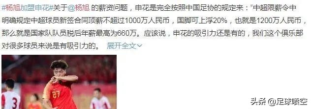 杨旭鲁能转会费,杨旭申花年薪多少