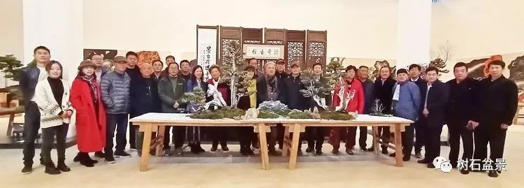 伟大使命复兴中国盆景艺术事业——2019中盆会大事回顾(下篇)