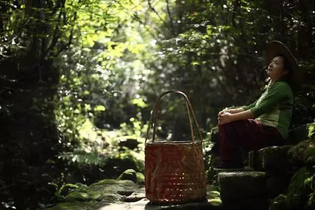 武夷山风景区民宿推荐价格表,武夷山山里民宿