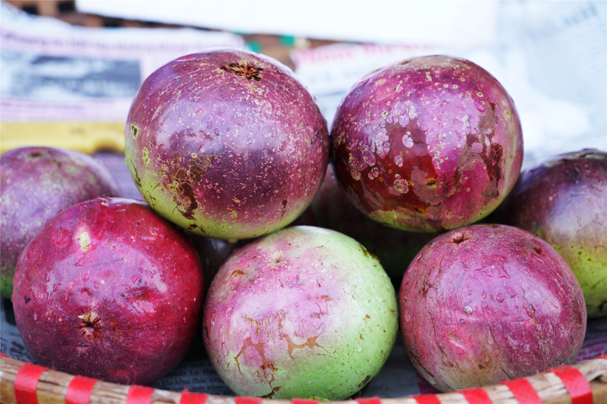 这个国家的男人以戴绿帽子为美，女人个个都很苗条