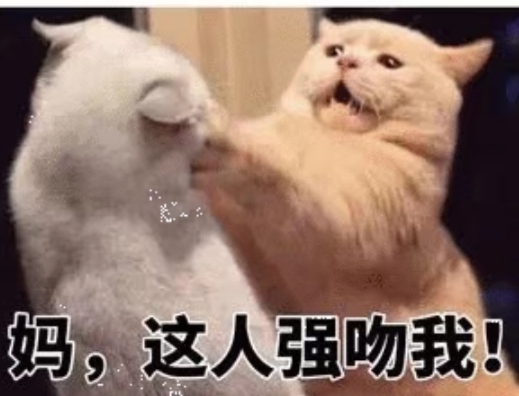 怎么撒狗粮让对方更爱你,怎么和女朋友撒狗粮