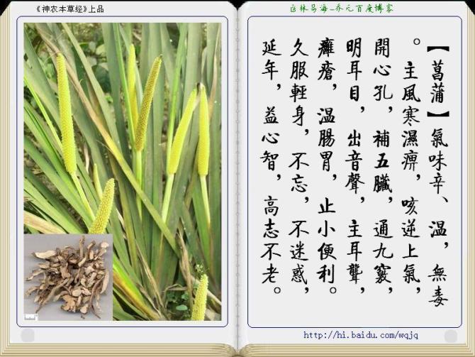 本草纲目中药讲解视频,本草纲目中药图谱及药理讲解