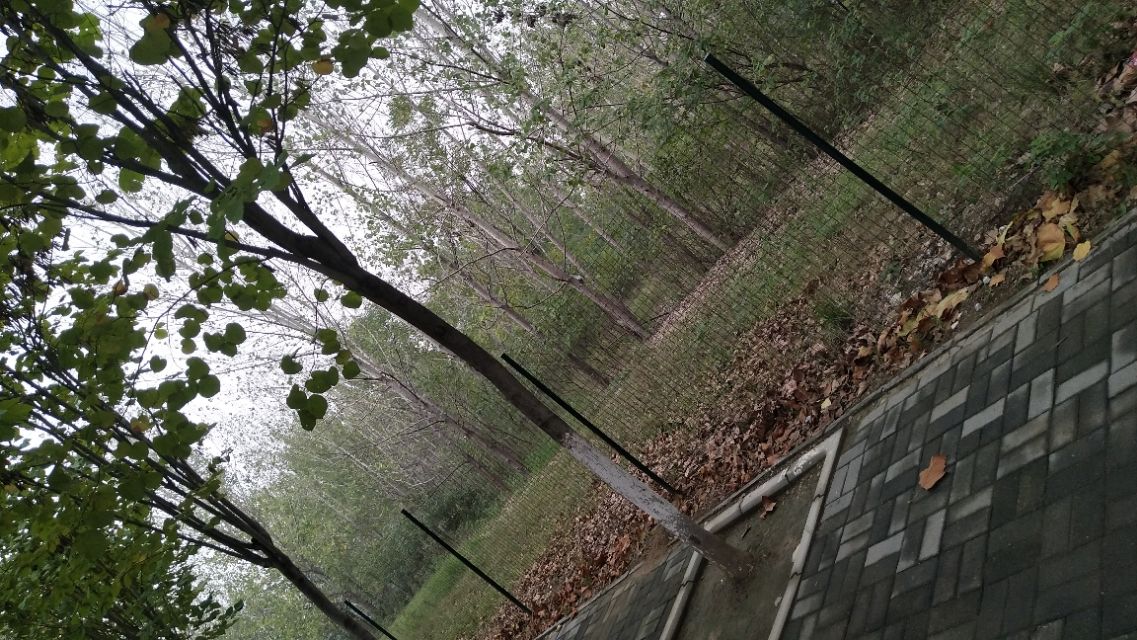 南阳李宁体育园的健身房,李宁体育园南阳