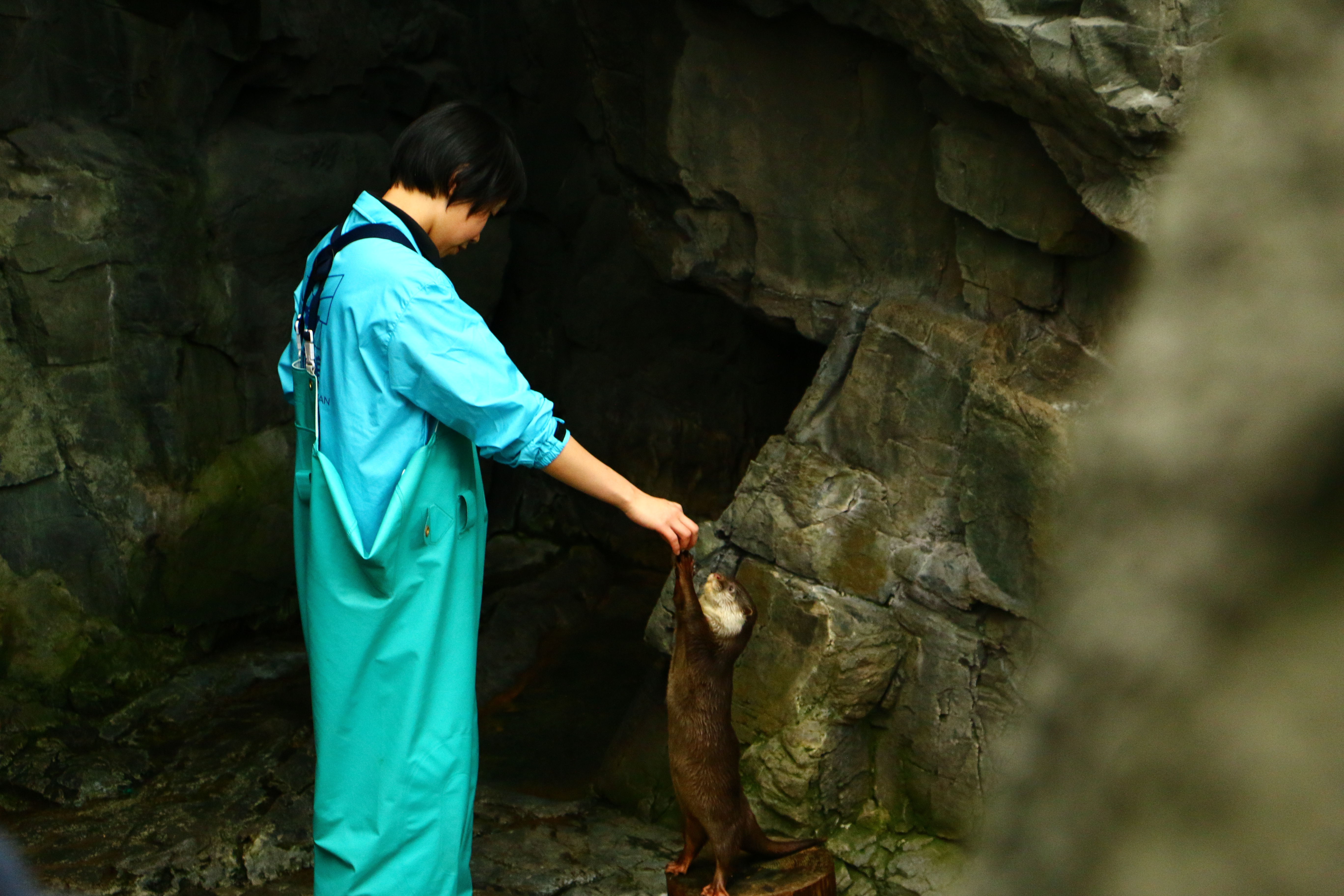 日本奈良自由行详细攻略,日本大阪京都自由行路线