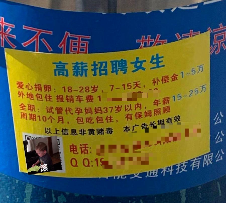 捐卵对女人有害吗,代孕捐卵是什么意思