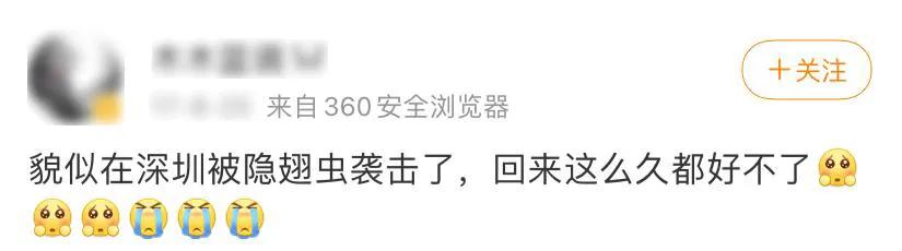 晚上玩手机会毁容的虫子,前一晚关灯玩手机被虫毁容