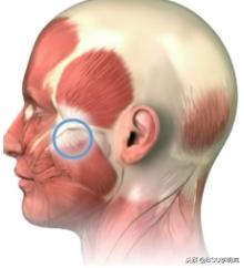 牙咬肌疼的张不开嘴怎么缓解,牙痛咬肌酸痛怎么回事