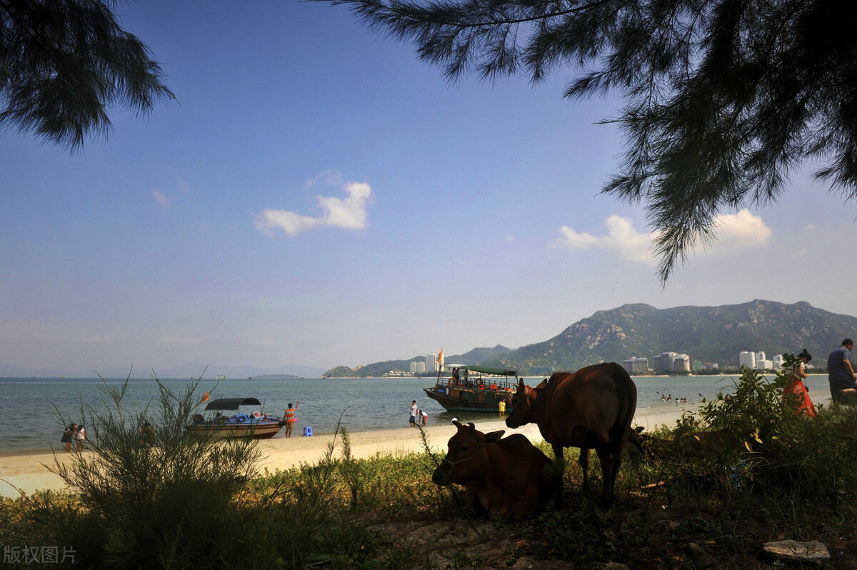 广东惠州未来经济规划,广东惠州经济发展怎么样