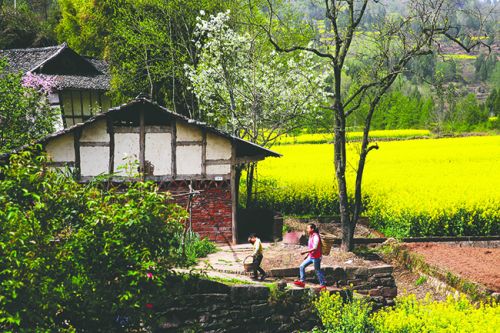 巴中古镇景点排行榜,四川巴中最红古镇