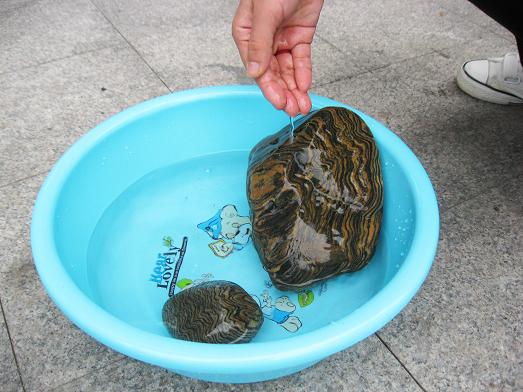 奇石上油视频,给奇石上油用什么油好