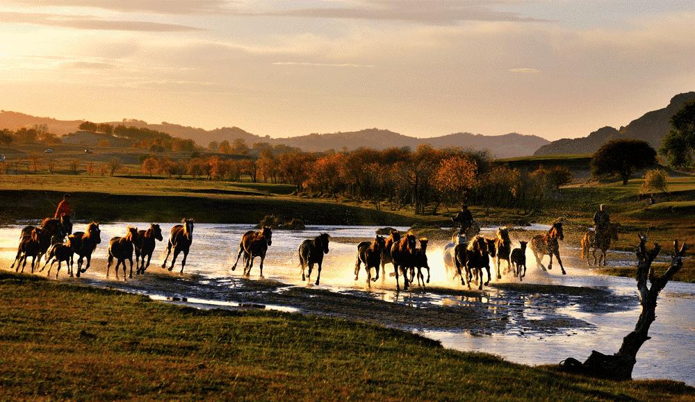 仲夏夜之梦古诗朗诵,仲夏之梦的诗歌
