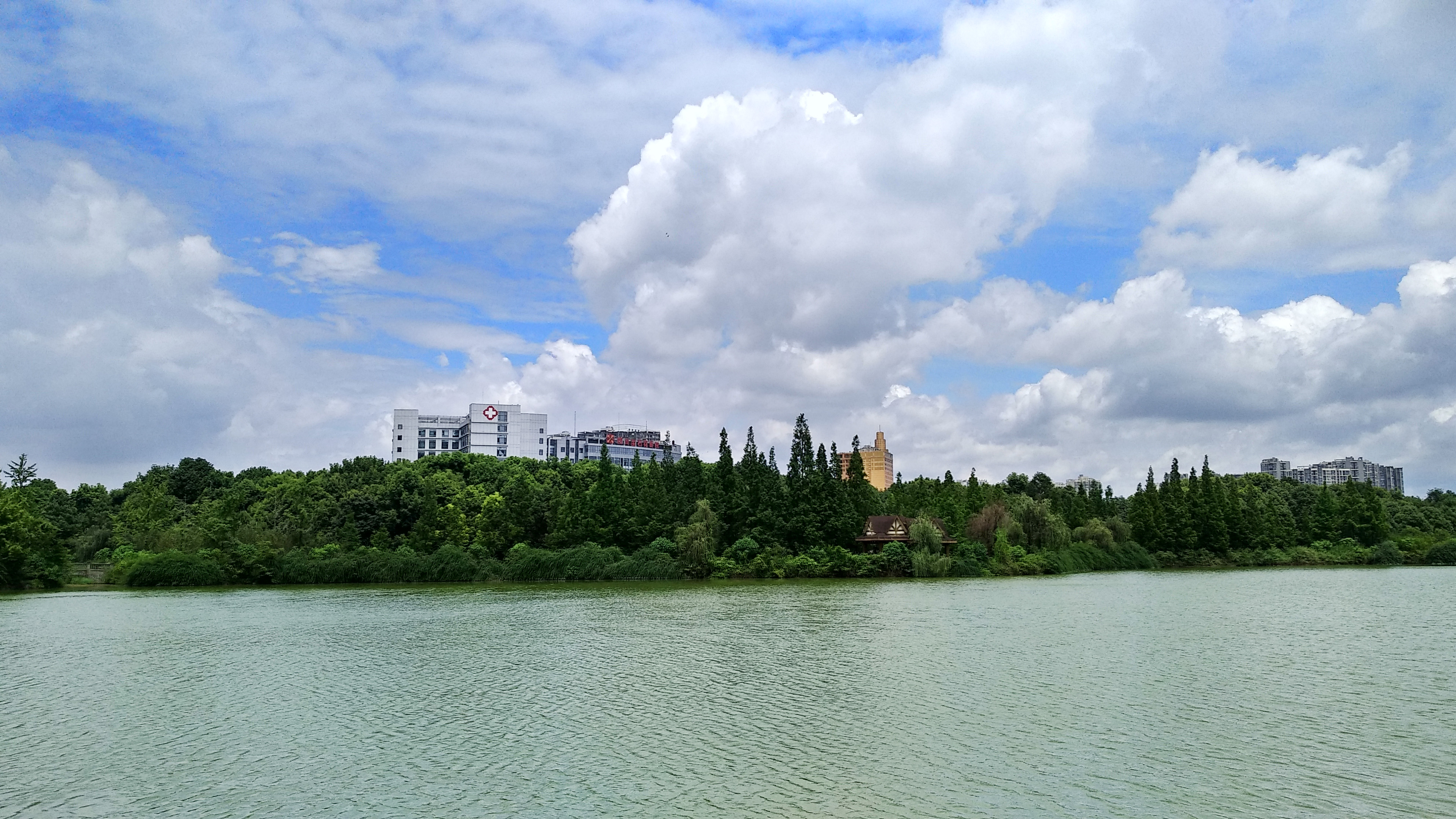 成都南湖公园钓鱼,成都南湖公园