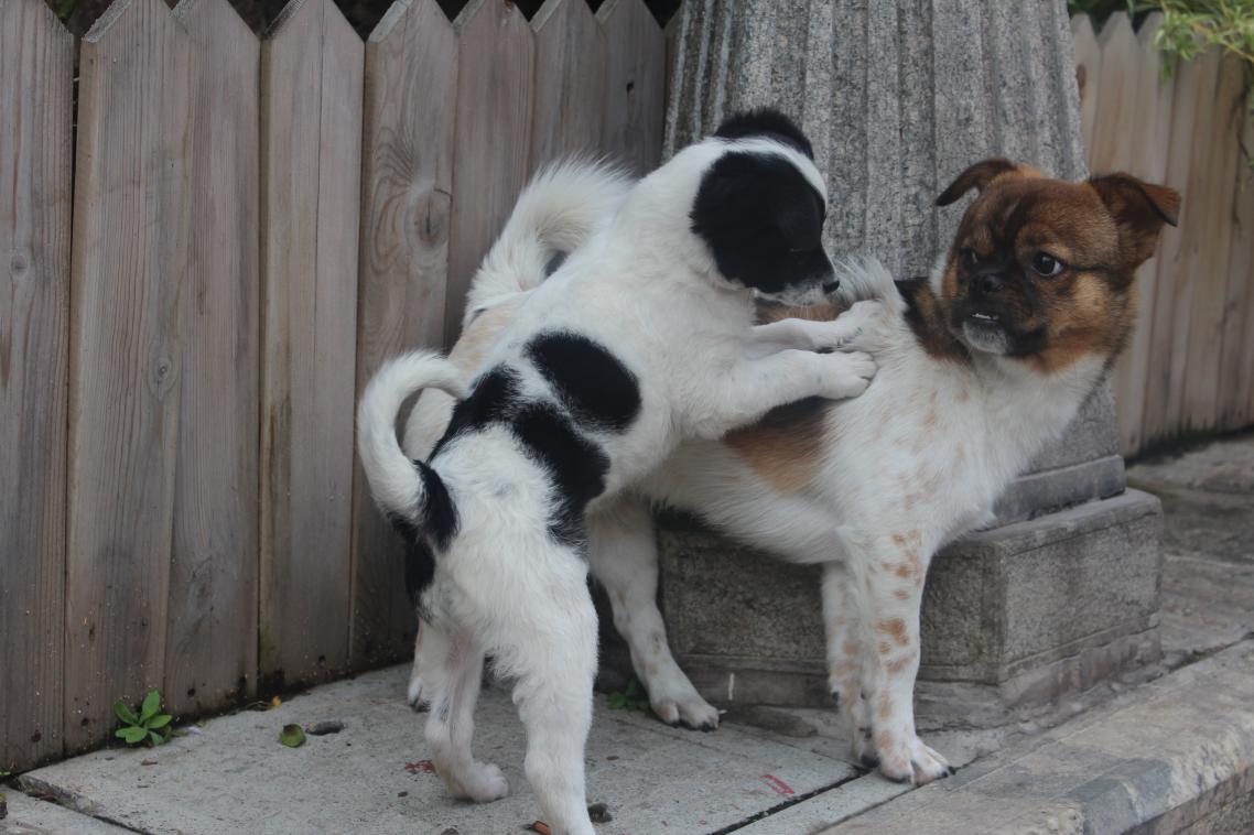 大理大理山水间,大理大理石博览馆