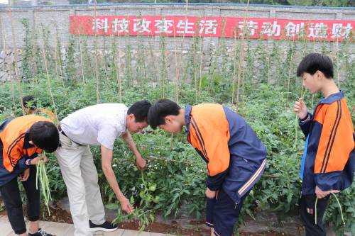 郧阳区第一中学的教学质量,十堰市郧阳区实验中学在哪里