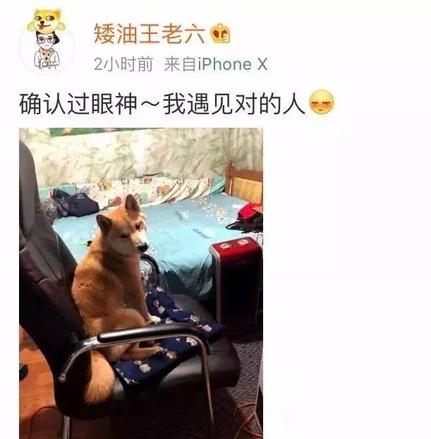 网友发不小心弄坏了女朋友口红怎么办。。。哈哈笑翻了