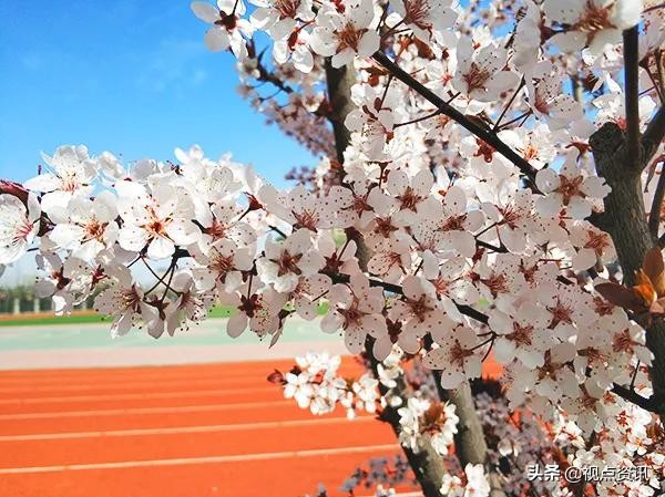 《名校风采》郑州市五十四中学:弦歌不辍五十载,上下求索奏华章