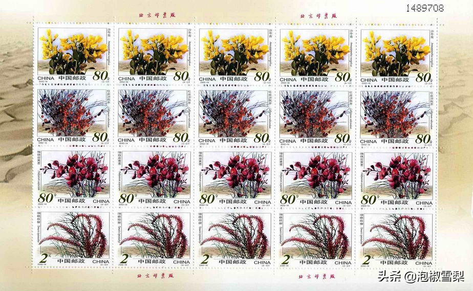 中国男足.七仙女.跆拳道.八大山人.聊斋｜2002全年邮票118张图片