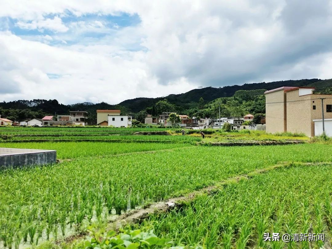 讲好秦都故事传承红色文化,清远秦皇山红色革命教育基地